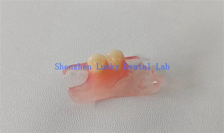 China Dental Valplast Flipper Factory
