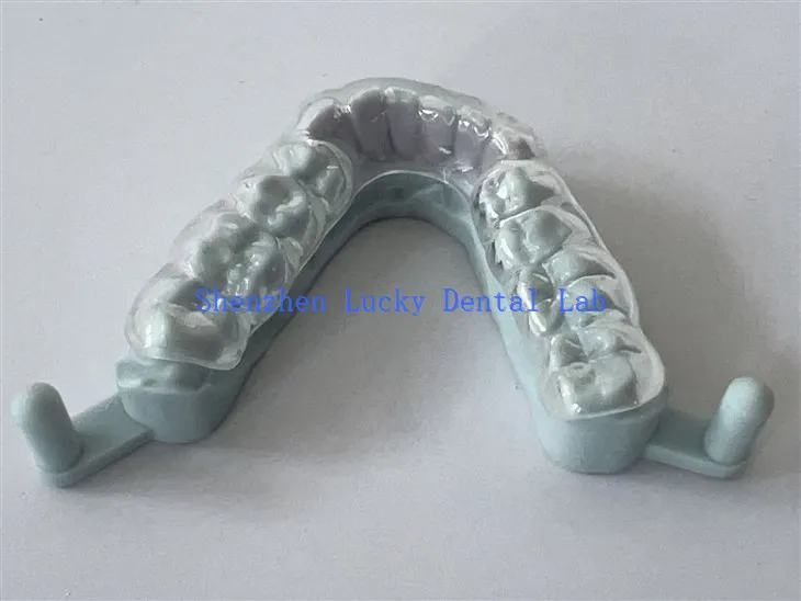 Ausgezeichnete 3D -Druck -Hartnacht -Wächterfabrik